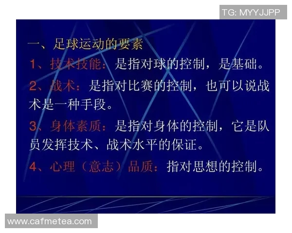 北京羽毛球队速度分析：技术与战术的完美结合探讨