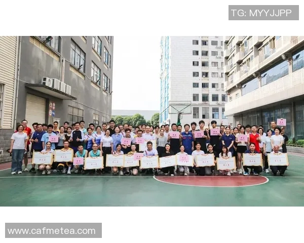 广州排球队的团队协作与默契配合研究分析