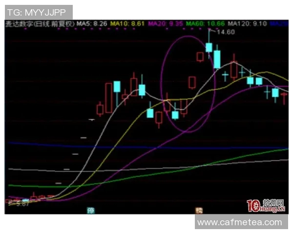 广州篮球队技术分析与战术创新的深度探讨与展望