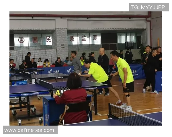 张娜专访：从乒乓球新星到世界冠军的辉煌历程回顾与展望