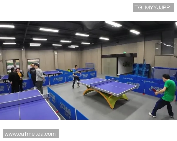 成都乒乓球队的节奏与发展探索聚焦乒乓球运动的未来与挑战