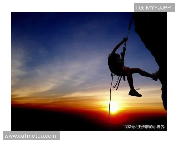 攀登人生的巅峰：周芳与深度对话的启示与反思