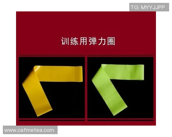 武汉羽毛球队防反战术分析及其在比赛中的得失表现探讨 武汉羽毛球队防反战术分析及其在比赛中的得失表现探讨