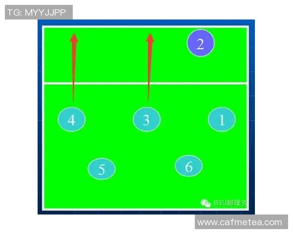 深圳排球队进攻策略分析与战术解读助力球队崛起