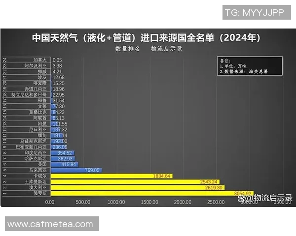 深度分析LNG市场转型策略与未来发展趋势探讨