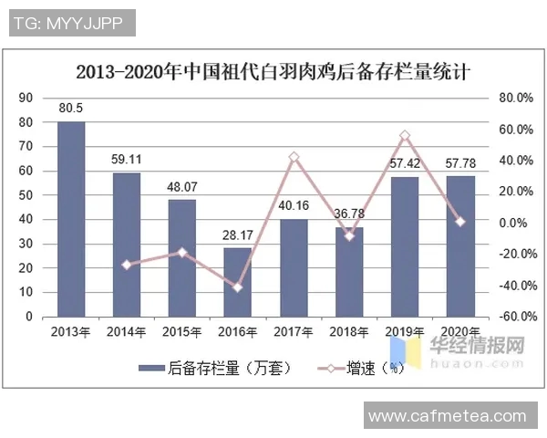 厄德高在球场上的精彩表现与未来发展潜力分析