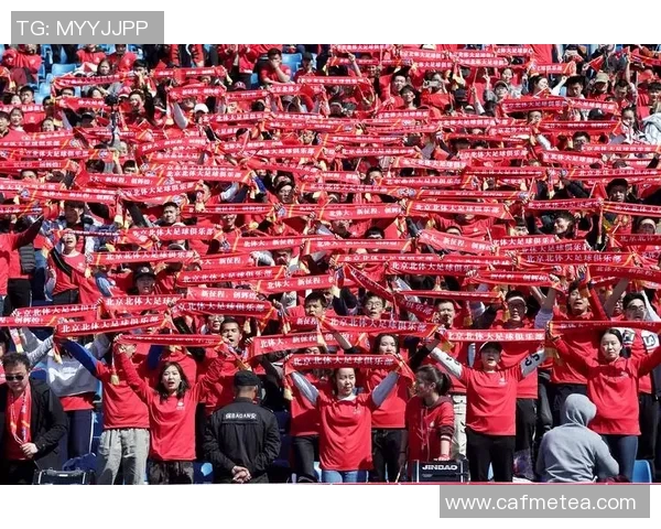 比利时与埃及激战正酣足球盛宴引发球迷热情高涨 比利时与埃及激战正酣足球盛宴引发球迷热情高涨